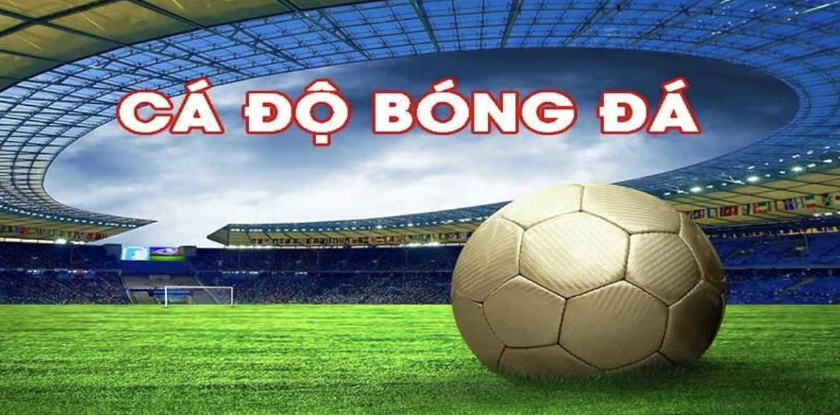 Popular odds on soccer betting sites